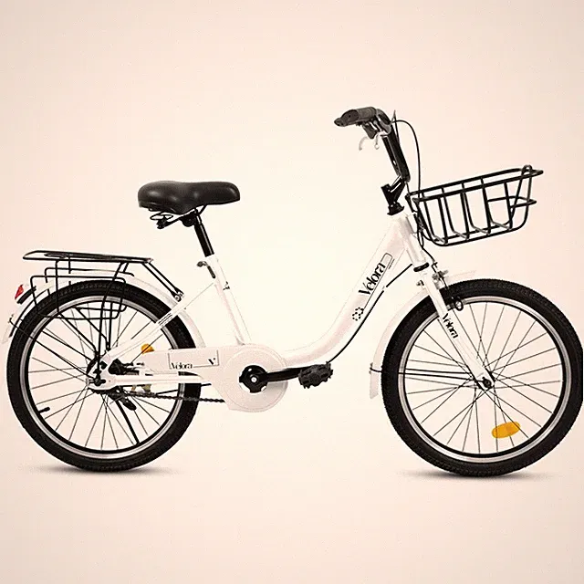 20 inch Kids Bike Single-Speed Lightweight Steel Frame w/Basket for Boys Girls