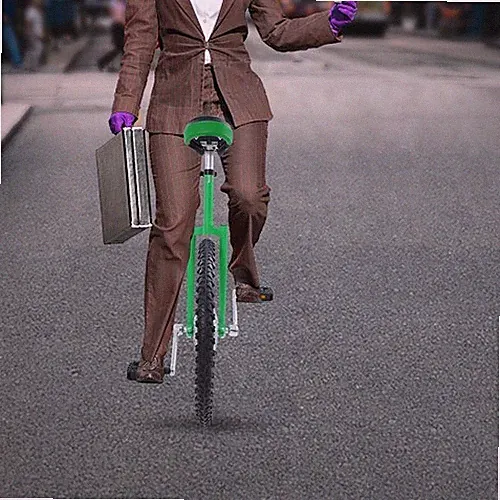 20 lb Unicycle