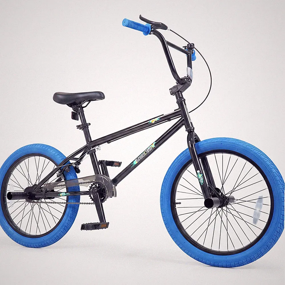 20 lb BMX Bike