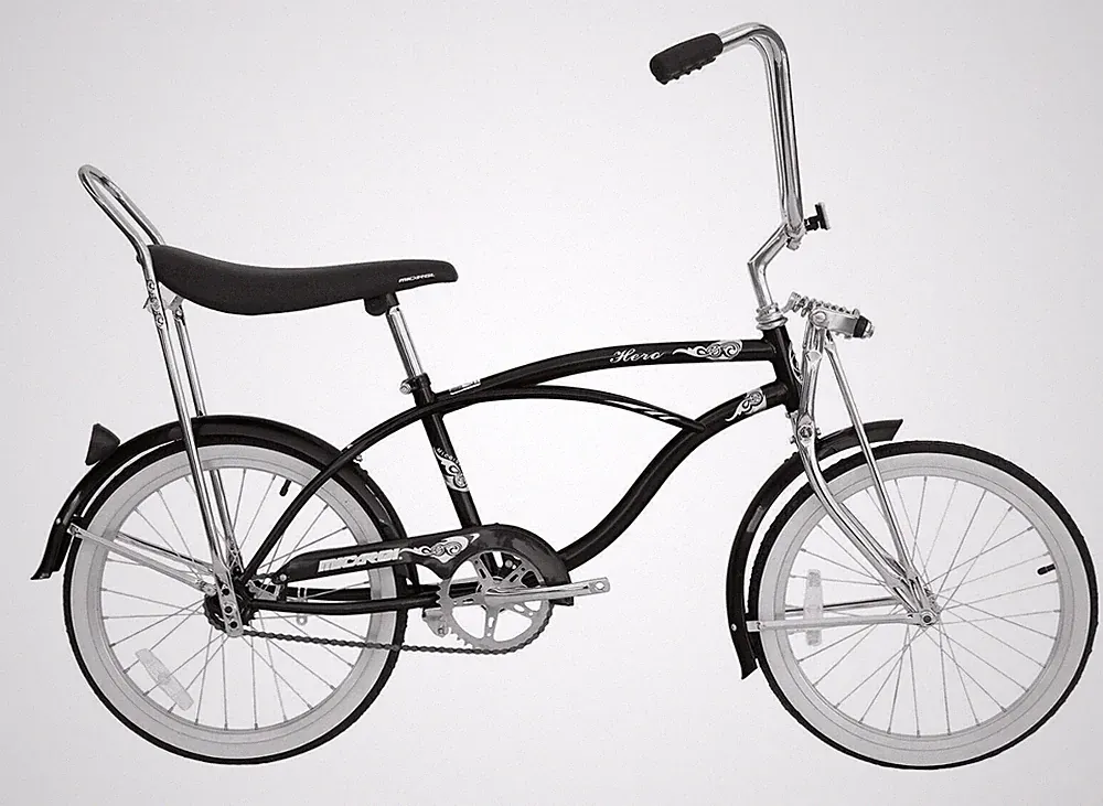 20 lb Beach Cruiser