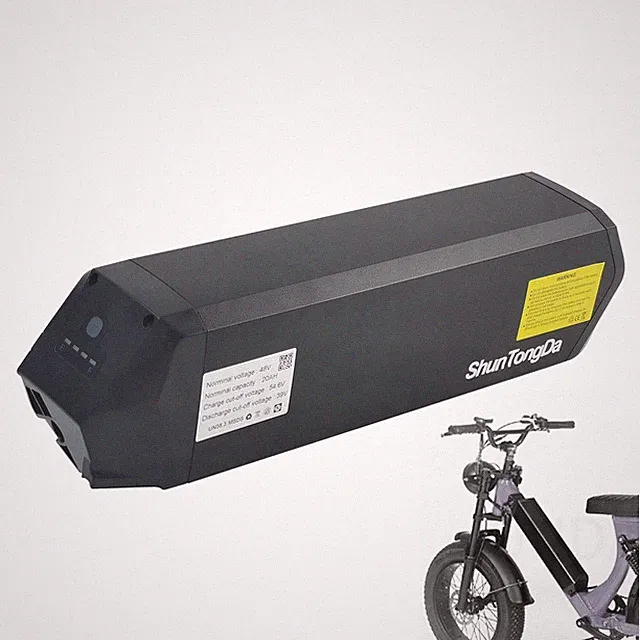 Reention Dorado ebike battery 48V 20Ah li ion battery for Addmotor M-5600 ebike