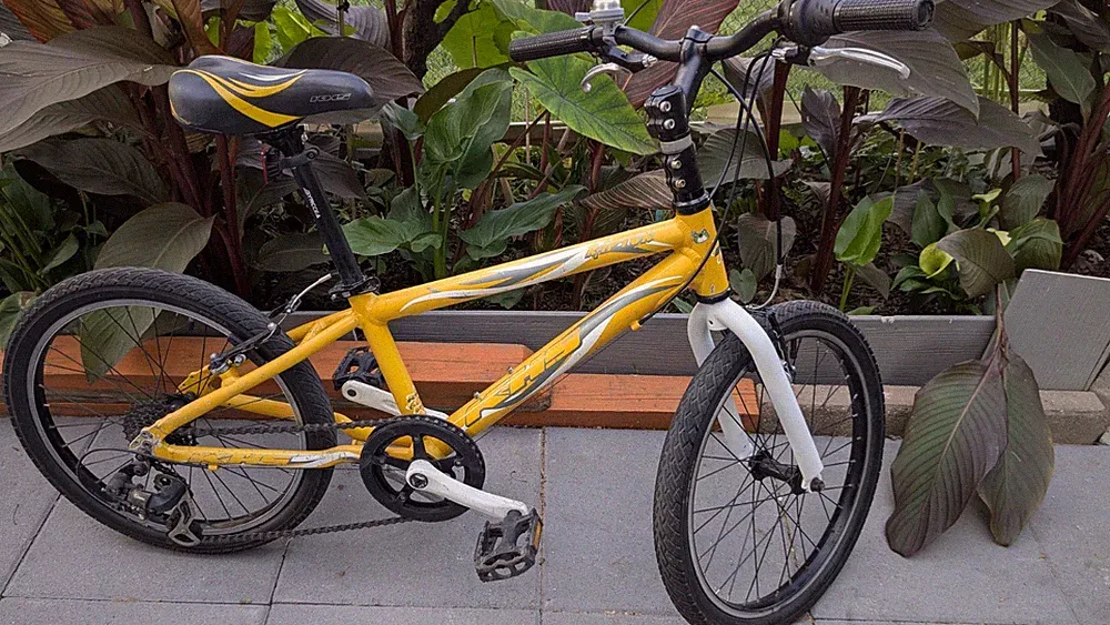 20 lb Bicycle Light