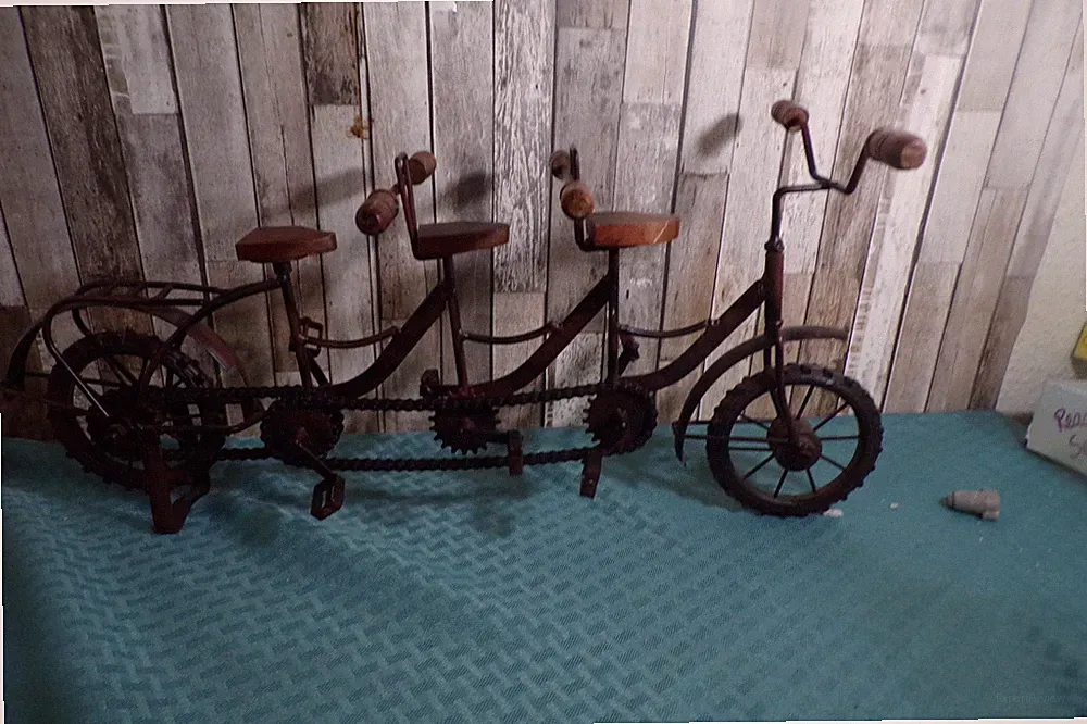 20 lb Tandem Bike